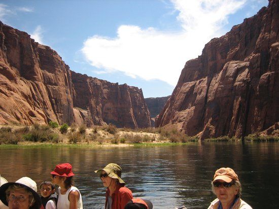 Université de l'Arizona du Nord